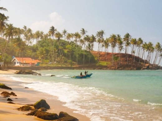 CoconutTreeHillMirissa