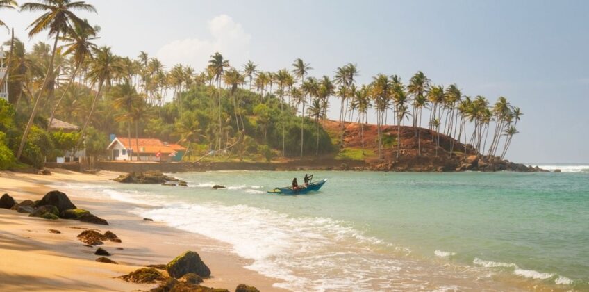 CoconutTreeHillMirissa